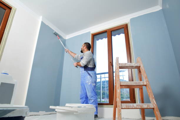 Best Biohazard Mold Removal  in Prophetstown, IL